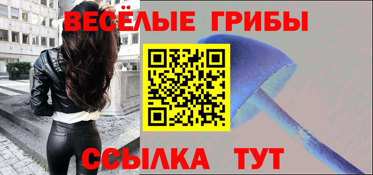 Дербент  Галлюциногенные грибы ЛСД  Галлюциногенные грибы Psilocybe  Вход с VPN 